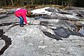 Petroglyphs in Zalavruga, Belomorsk, Karelia, Russia 03
