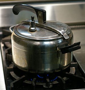 Pressure cooker oval lid