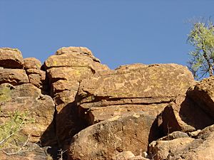 Sunshine-AZ Photo Saguaro Park West Petroglyphs