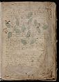 Voynich Manuscript (3)