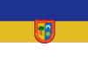 Flag of Burguete