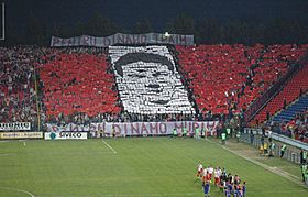Cătălin Hîldan - FC Dinamo București