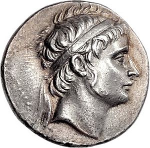 Coin of Seleucus II Callinicus (cropped), Antioch mint.jpg