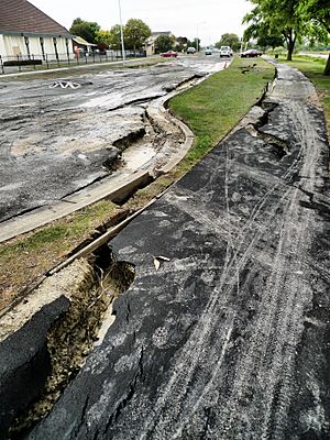 Aftermath of the 2011 earthquake in Avondale