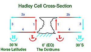 HadleyCross-sec