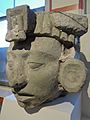 Head, Structure 20, Copan, Honduras - Meso-American collection - Peabody Museum, Harvard University - DSC05659