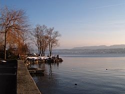 Lake Zurich Tiefenbrunnen