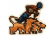 Lions-logo-52-60