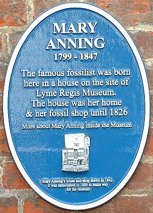 Mary Anning Plaque