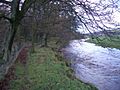 River Devon at Crook of Devon