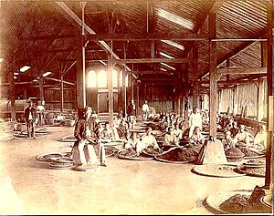 Batavia tea warehouse