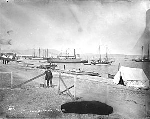 Beach at Grantley Harbor near Teller, Alaska, ca 1901 (HEGG 163)