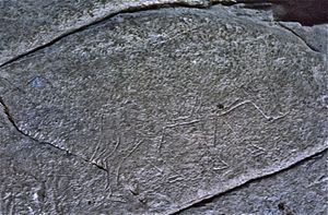 Dunadd Fort Pictish type boar carving