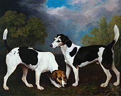 George Stubbs (1724-1806) - A Couple of Foxhounds - T01705 - Tate