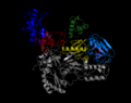 HIV-1 Reverse Transcriptase with Active Sites