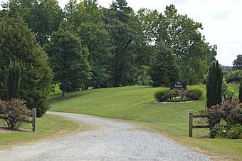 Ingleside plantation-and-vineyard entrance.jpg