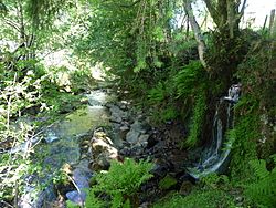 Part of the Afon Tarell between the A470 and the Taff Trail - geograph.org.uk - 1327738.jpg