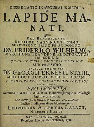 Stahl, Georg Ernst – De lapide manati, 1710 – BEIC 8673615