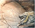 ThunderBird Rock Carved Petroglyph at Twin Buffs