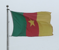 Flag of Cameroon on pole