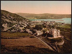 From N. W., Barmouth, Wales-LCCN2001703421