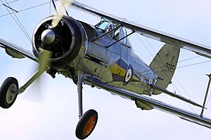 Gladiator - Shuttleworth Airshow (4760760267)