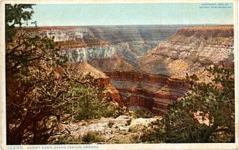 Hermit Basin, Grand Canyon, Arizona (NBY 6986)