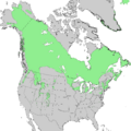 Juniperus communis North American range map 1