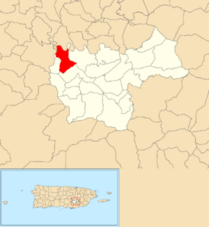Location of Matón Abajo within the municipality of Cayey shown in red