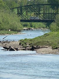 Nisqually River 05876
