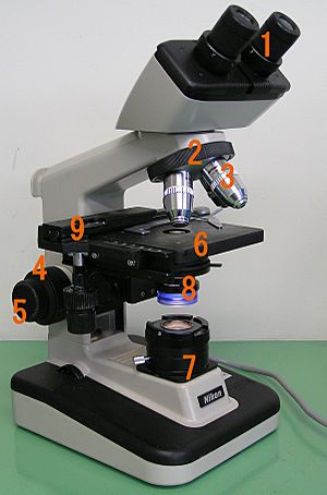 Optical microscope nikon alphaphot