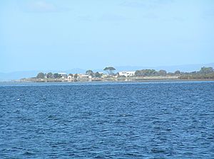 Swan Island from Swan Bay Jetty
