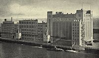 A sepia photograph of a large warehouse complex on a river bank, including an art deco building signed "BALTIC FLOUR MILLS"
