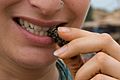 2015.09-433-057ar2p2 Cirina butyrospermi(Saturniidae,Lepidoptera),larva(caterpillar),'chitoumou'='chenille de karité'.snack Banfora(Comoé Prv.,Cascades Rgn),BF sat05sep2015-1655h