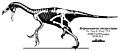 Beipiaosaurus skeletal Headden