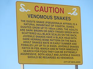 Caution sign for dugite snakes in the coastal dunes near Swanbourne Beach, Western Australia.