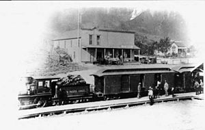 North Pacific Coast Railroad in Freestone, California (1893)