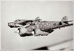 Savoia-Marchetti SM.79 in formation