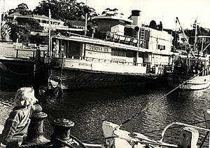 Sydney ferry LADY DENMAN arrives at Huskisson 1981