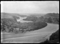 View of the Waimakariri River at Kowai Bush, near Springfield, 1927 ATLIB 299398