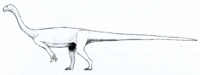 Arcusaurus LM.png