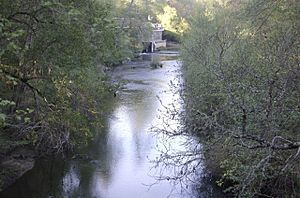San Lorenzo River
