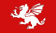White Dragon Flag of England.svg