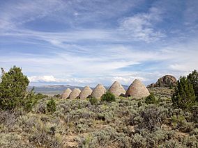 2014-08-11 16 18 47 Ovens in Ward Charcoal Ovens State Historic Park.JPG