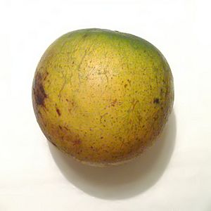 Abiu fruit
