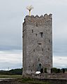 County Cork - Belvelly Castle - 20210727132541