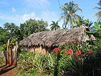 Cuba baracoa cabin