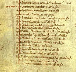 Domesday Book folio 301v ms detail.jpg
