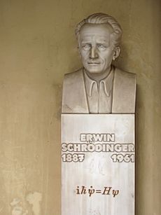 Erwin Schrodinger at U Vienna