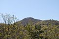 Shenandoah Mountain - High Knob